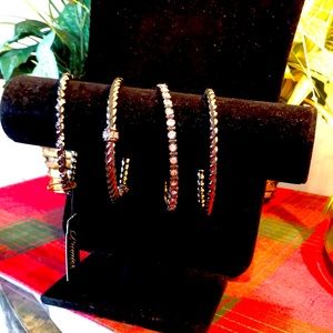 Premier Design Bracelet Set